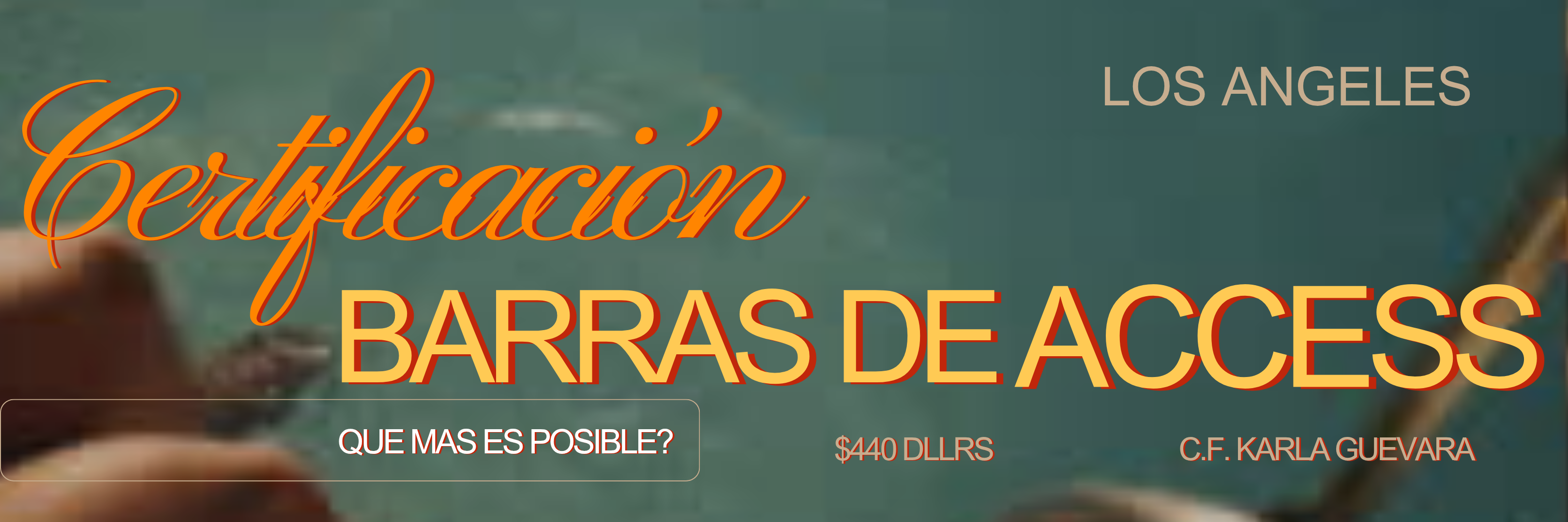 ¿Que son las BARRAS DE ACCESS?